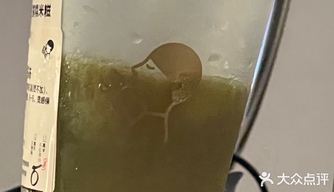 喜茶