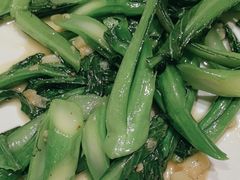 -锦粤宫·精致粤菜(深圳北站店)