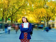 -三里屯东五街银杏大道