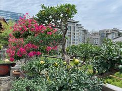 -亮宝楼国宴+文化陕菜