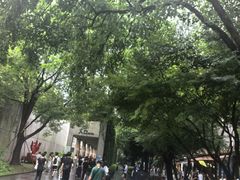 -中国湿地博物馆