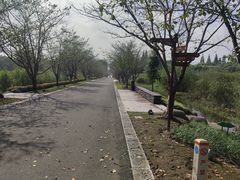 -长田漾湿地公园