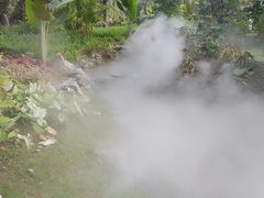 -东莞植物园