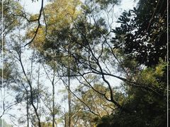 -大尖山公园