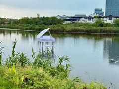 -杭州湾海上花田景区