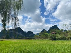 -靖西鹅泉风景区