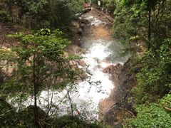 -九龙江国家森林公园