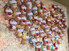 -柴犬高等学院·狗咖·柴犬售卖·宠物训练