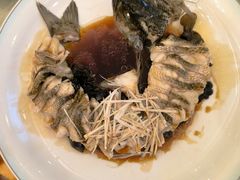 -博雅渔港·融合菜(维也纳国际大酒店)