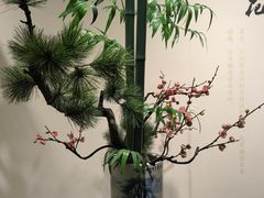 -南宫五洲植物乐园