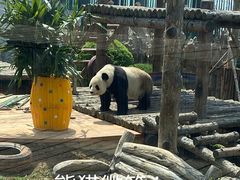 -大连森林动物园