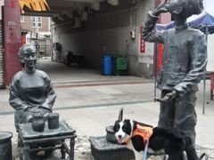 -波姐宠物家庭寄养