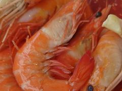 -东莞塘厦三正半山温泉酒店·沙利文西餐厅
