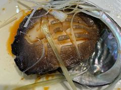 -1937青岛老味道·海肠捞饭·青岛菜(大鲍岛栈桥店)