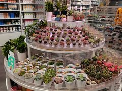 -KKV(深圳kk one 店)