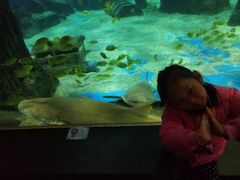 -锦艺城海洋馆