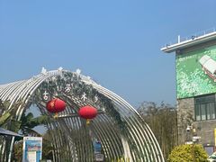 -江门古劳水乡旅游区