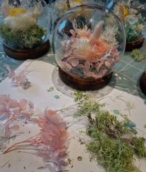 点击看大图 -喜月月子中心(海昌别墅店)