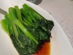 白灼芥兰-维园悦谱·海派家常菜(乌鲁木齐南路店)