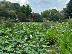-广州莲花山旅游区