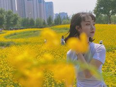 -长白岛森林公园