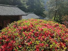 -寂照庵