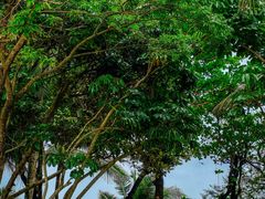 -三亚海棠湾万丽度假酒店