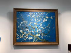 -信马画室 成人零基础到个人创作画室(亚运村店)