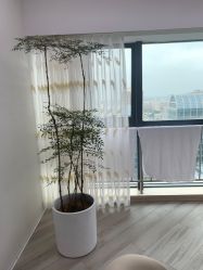 -HEYAN荷妍专业脱毛连锁机构