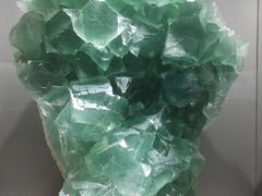 -甘肃地质博物馆