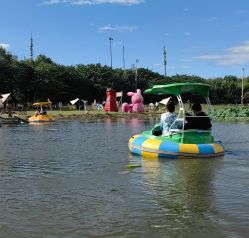 -268童话露营营地·烧烤·团建