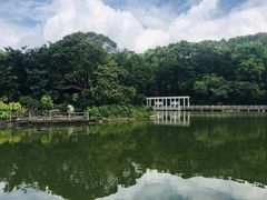 -广州市帽峰山景区