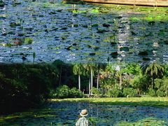 -中国科学院西双版纳热带植物园