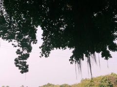 -小洲村