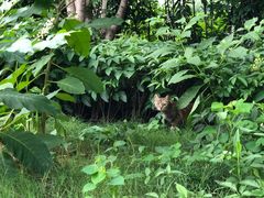 -苏州河梦清园环保主题公园