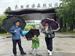 -黄海国家森林公园