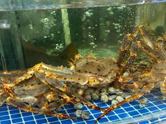 -老船长海鲜大排档(集美店)