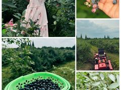 -金谷域澳洲庄园