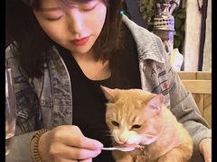 -Sirena海妖日咖夜酒