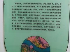 -白鹭湾湿地公园