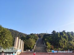 -铁山坪森林公园