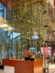 -广州富力君悦大酒店·宴会厅