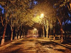 -吉林大学(前卫南区)