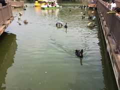 -无锡动物园·太湖欢乐园
