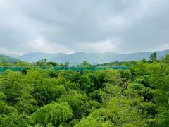-陶祖圣境风景区
