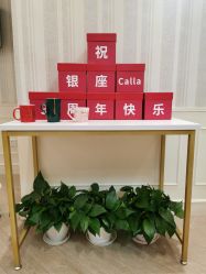 -银座Calla日式美容沙龙