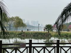 -南宁南湖公园