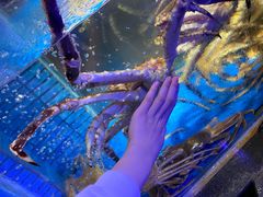 -徐记海鲜(曲江南湖店)