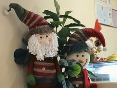 -狐狸和向日葵·芙甜(北京路店)