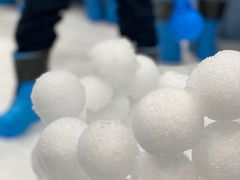 -Mr·Kuma酷么先生雪之乐园